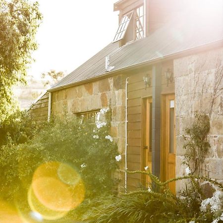 Daisy Bank Cottages Richmond Bagian luar foto