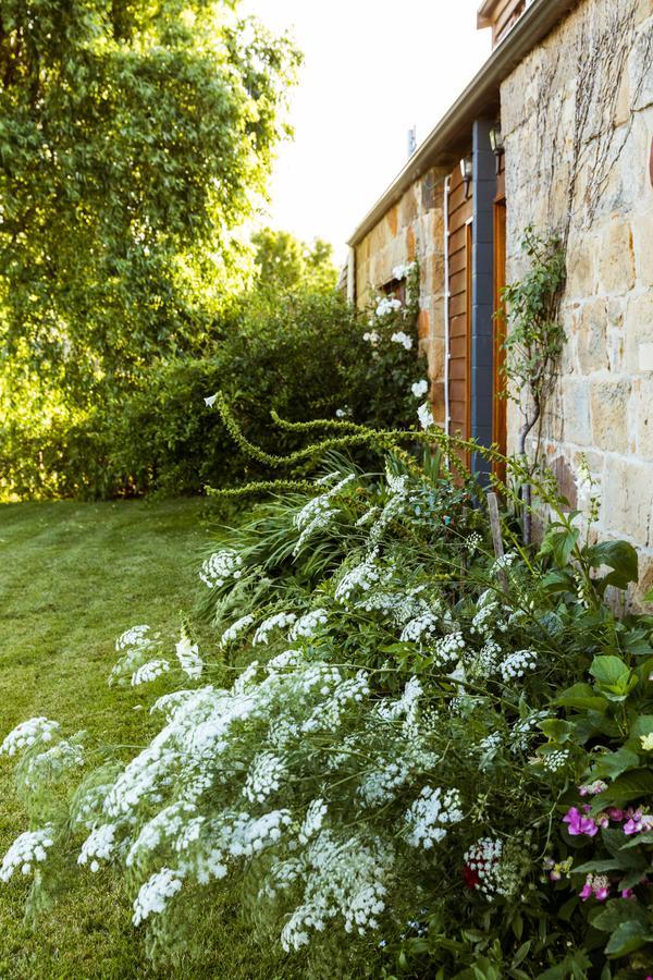 Daisy Bank Cottages Richmond Bagian luar foto