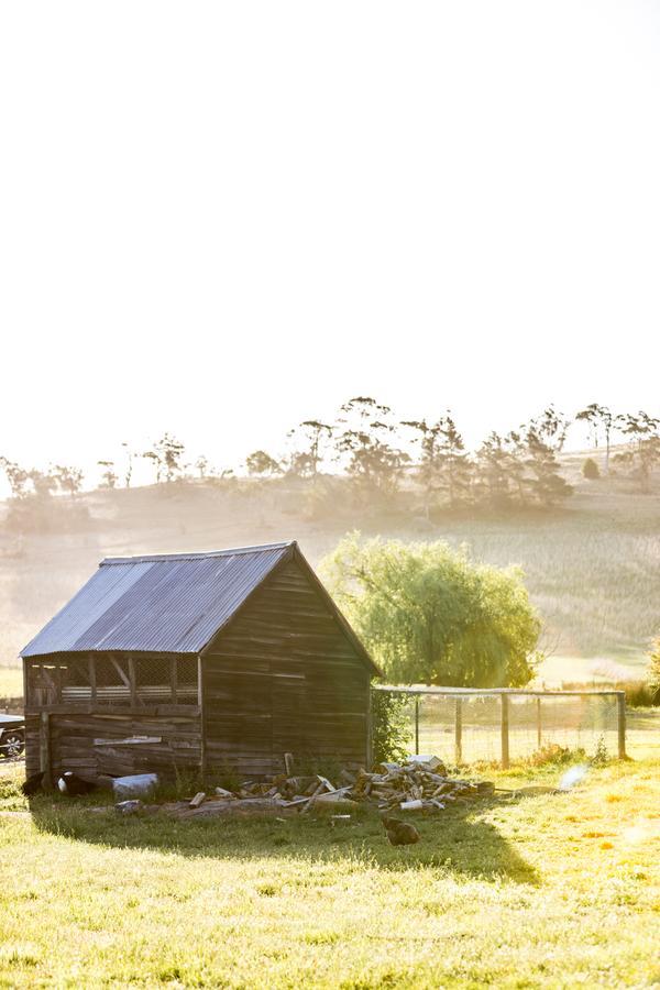 Daisy Bank Cottages Richmond Bagian luar foto