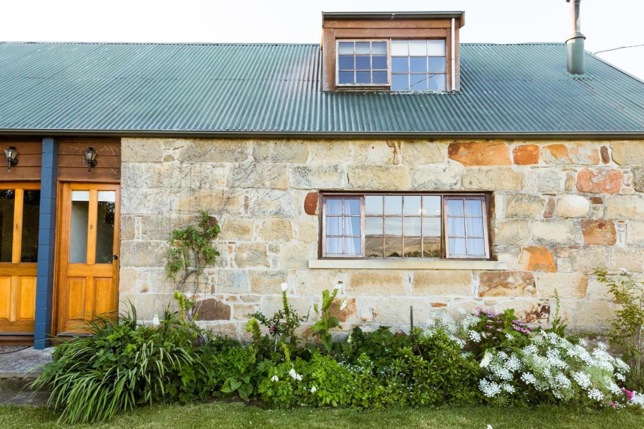 Daisy Bank Cottages Richmond Bagian luar foto