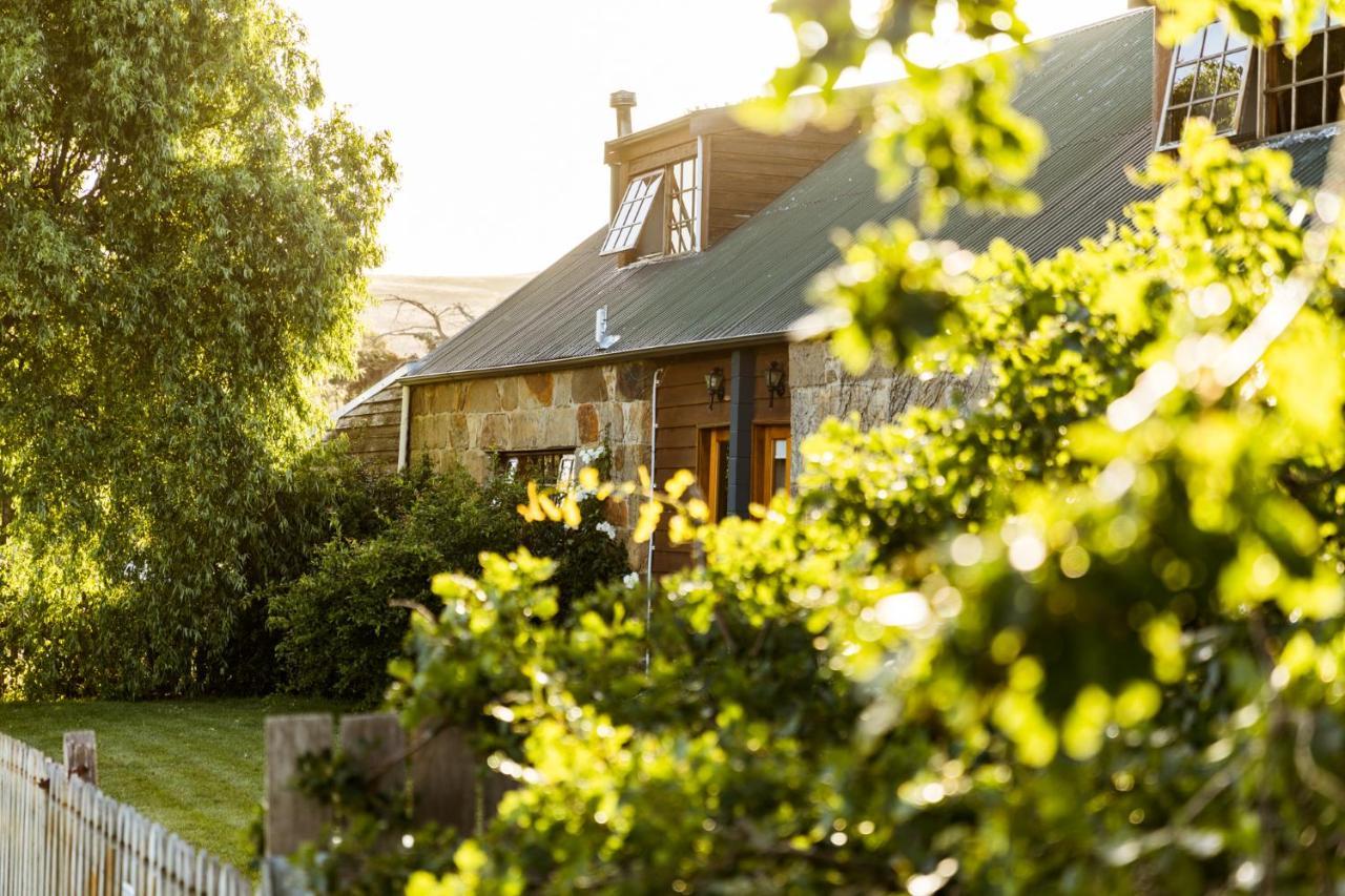 Daisy Bank Cottages Richmond Bagian luar foto