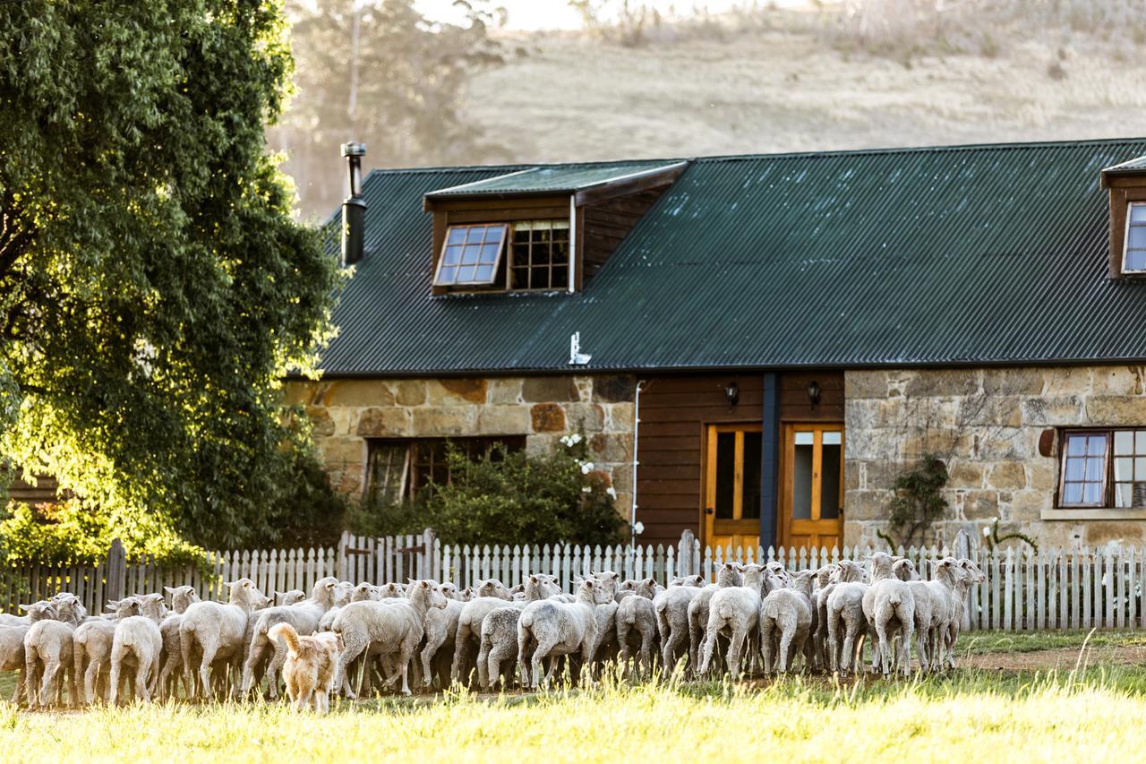 Daisy Bank Cottages Richmond Bagian luar foto