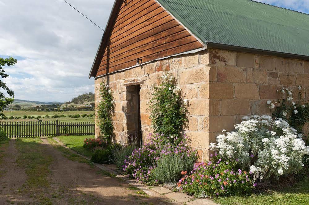 Daisy Bank Cottages Richmond Bagian luar foto