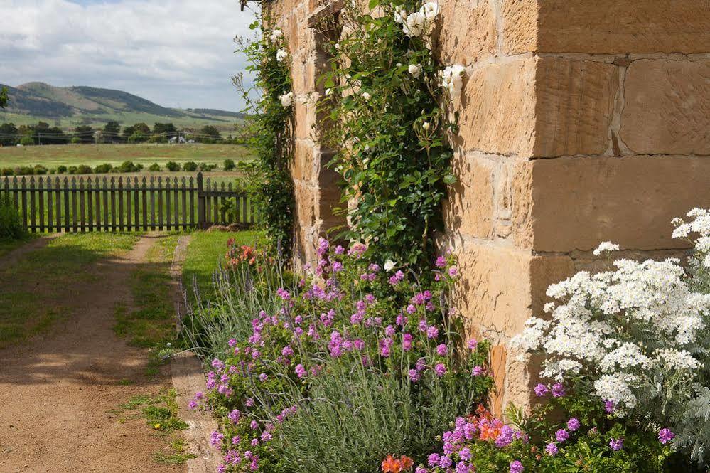 Daisy Bank Cottages Richmond Bagian luar foto
