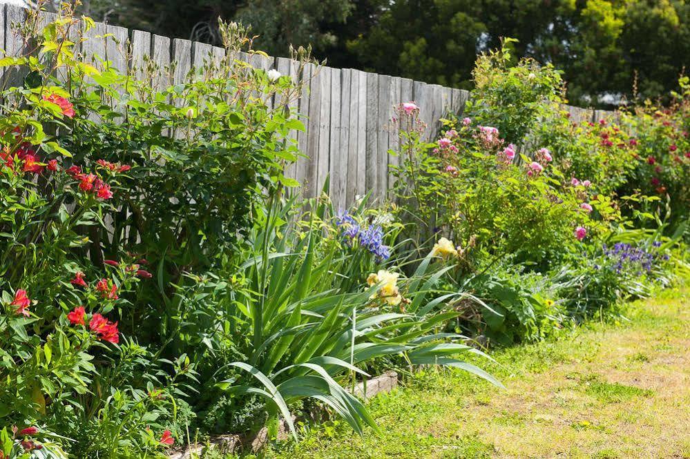 Daisy Bank Cottages Richmond Bagian luar foto
