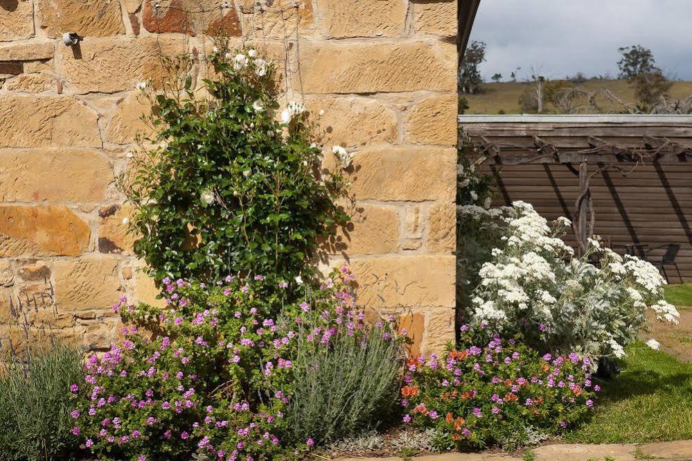 Daisy Bank Cottages Richmond Bagian luar foto